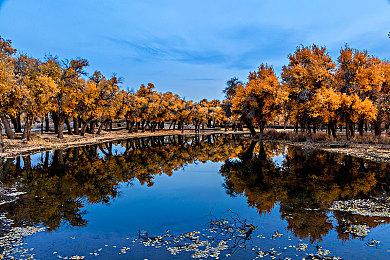 《拳皇15》新角色“库拉·戴雅萌多”预告 冰雪娃娃